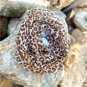 Cheetah Print Hat-Headband-Hair Clip